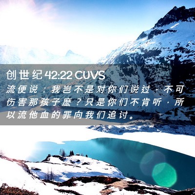 Picture 02 - 创 世 纪 42:22 CUVS - 流 便 说 ： 我 岂 不 是 对 你 们 说 - Bible Verse Picture