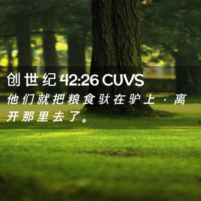 Picture 02 - 创 世 纪 42:26 CUVS - 他 们 就 把 粮 食 驮 在 驴 上 ， 离 - Bible Verse Picture
