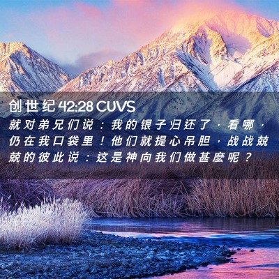Picture 02 - 创 世 纪 42:28 CUVS - 就 对 弟 兄 们 说 ： 我 的 银 子 归 - Bible Verse Picture