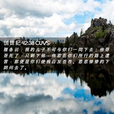 Picture 02 - 创 世 纪 42:38 CUVS - 雅 各 说 ： 我 的 儿 子 不 可 与 你 - Bible Verse Picture