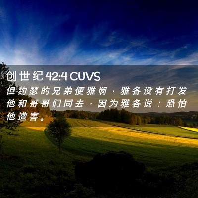 Picture 02 - 创 世 纪 42:4 CUVS - 但 约 瑟 的 兄 弟 便 雅 悯 ， 雅 各 - Bible Verse Picture