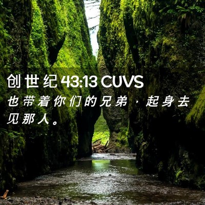 Picture 02 - 创 世 纪 43:13 CUVS - 也 带 着 你 们 的 兄 弟 ， 起 身 去 - Bible Verse Picture