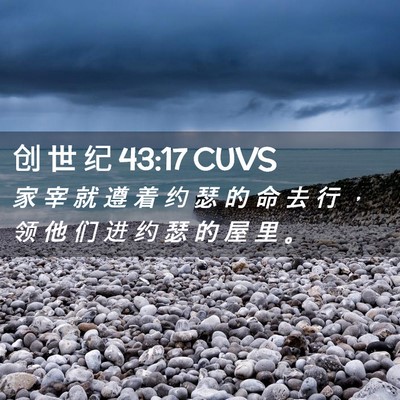 Picture 02 - 创 世 纪 43:17 CUVS - 家 宰 就 遵 着 约 瑟 的 命 去 行 ， - Bible Verse Picture