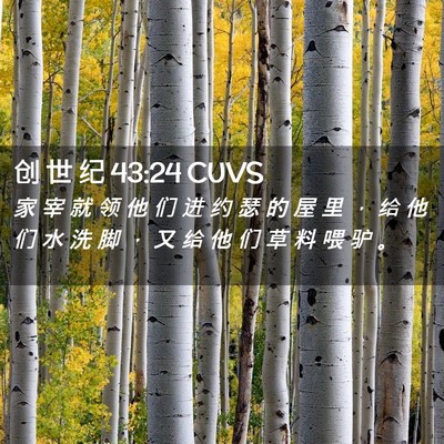 Picture 02 - 创 世 纪 43:24 CUVS - 家 宰 就 领 他 们 进 约 瑟 的 屋 里 - Bible Verse Picture