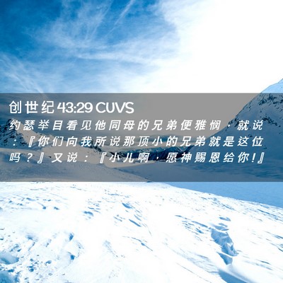 Picture 02 - 创 世 纪 43:29 CUVS - 约 瑟 举 目 看 见 他 同 母 的 兄 弟 - Bible Verse Picture