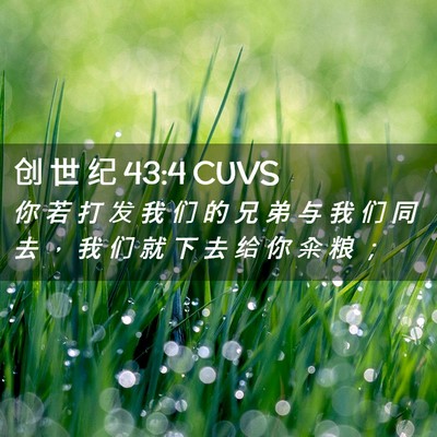 Picture 02 - 创 世 纪 43:4 CUVS - 你 若 打 发 我 们 的 兄 弟 与 我 们 - Bible Verse Picture