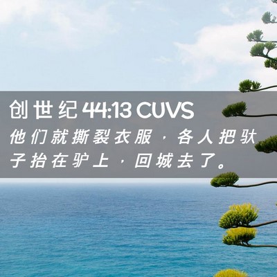Picture 02 - 创 世 纪 44:13 CUVS - 他 们 就 撕 裂 衣 服 ， 各 人 把 驮 - Bible Verse Picture