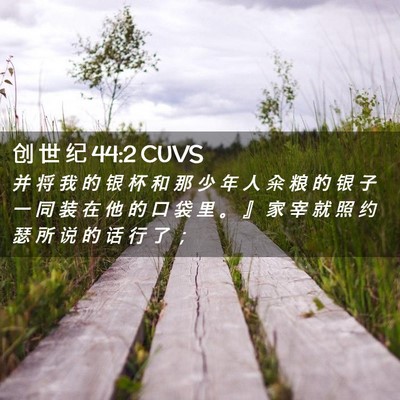 Picture 02 - 创 世 纪 44:2 CUVS - 并 将 我 的 银 杯 和 那 少 年 人 籴 - Bible Verse Picture
