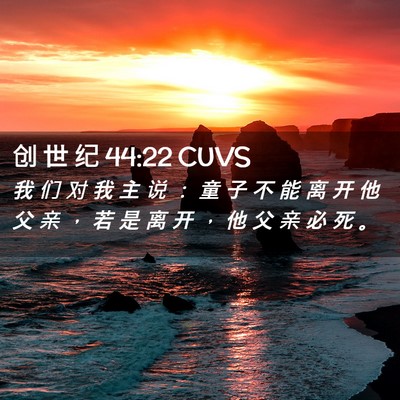 Picture 02 - 创 世 纪 44:22 CUVS - 我 们 对 我 主 说 ： 童 子 不 能 离 - Bible Verse Picture