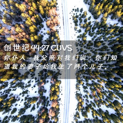 Picture 02 - 创 世 纪 44:27 CUVS - 你 仆 人 ─ 我 父 亲 对 我 们 说 ： - Bible Verse Picture
