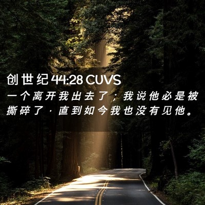 Picture 02 - 创 世 纪 44:28 CUVS - 一 个 离 开 我 出 去 了 ； 我 说 他 - Bible Verse Picture