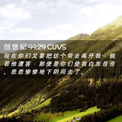 Picture 02 - 创 世 纪 44:29 CUVS - 现 在 你 们 又 要 把 这 个 带 去 离 - Bible Verse Picture