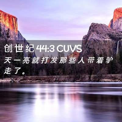 Picture 02 - 创 世 纪 44:3 CUVS - 天 一 亮 就 打 发 那 些 人 带 着 驴 - Bible Verse Picture