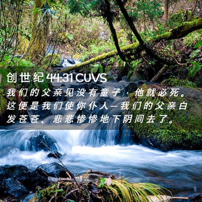 Picture 02 - 创 世 纪 44:31 CUVS - 我 们 的 父 亲 见 没 有 童 子 ， 他 - Bible Verse Picture