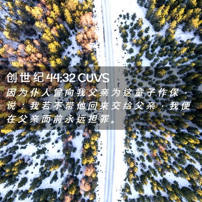 Picture 02 - 创 世 纪 44:32 CUVS - 因 为 仆 人 曾 向 我 父 亲 为 这 童 - Bible Verse Picture