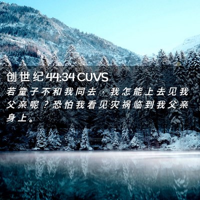 Picture 02 - 创 世 纪 44:34 CUVS - 若 童 子 不 和 我 同 去 ， 我 怎 能 - Bible Verse Picture