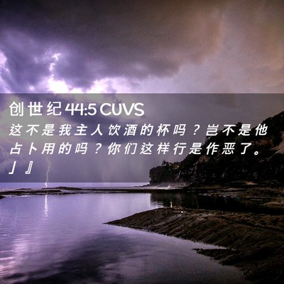 Picture 02 - 创 世 纪 44:5 CUVS - 这 不 是 我 主 人 饮 酒 的 杯 吗 ？ - Bible Verse Picture