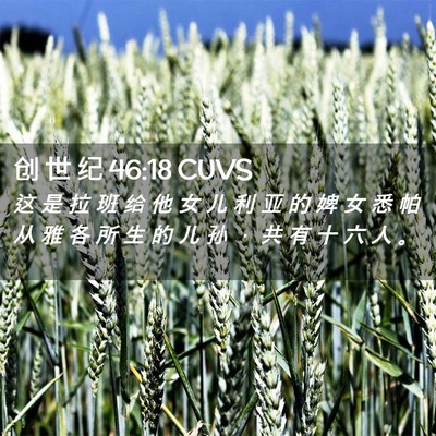 Picture 02 - 创 世 纪 46:18 CUVS - 这 是 拉 班 给 他 女 儿 利 亚 的 婢 - Bible Verse Picture