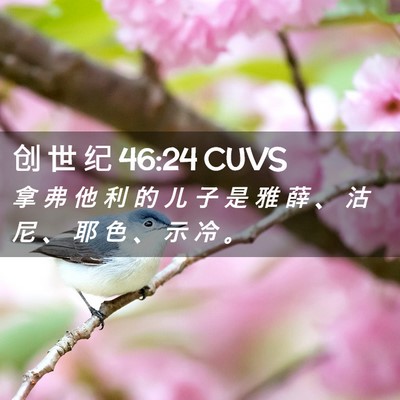 Picture 02 - 创 世 纪 46:24 CUVS - 拿 弗 他 利 的 儿 子 是 雅 薛 、 沽 - Bible Verse Picture