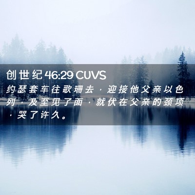 Picture 02 - 创 世 纪 46:29 CUVS - 约 瑟 套 车 往 歌 珊 去 ， 迎 接 他 - Bible Verse Picture