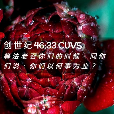 Picture 02 - 创 世 纪 46:33 CUVS - 等 法 老 召 你 们 的 时 候 ， 问 你 - Bible Verse Picture