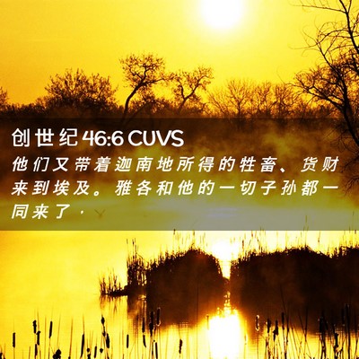 Picture 02 - 创 世 纪 46:6 CUVS - 他 们 又 带 着 迦 南 地 所 得 的 牲 - Bible Verse Picture