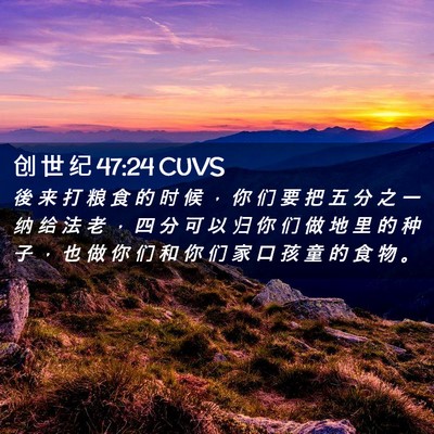 Picture 02 - 创 世 纪 47:24 CUVS - 後 来 打 粮 食 的 时 候 ， 你 们 要 - Bible Verse Picture