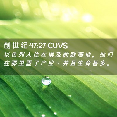 Picture 02 - 创 世 纪 47:27 CUVS - 以 色 列 人 住 在 埃 及 的 歌 珊 地 - Bible Verse Picture