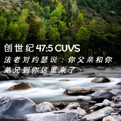 Picture 02 - 创 世 纪 47:5 CUVS - 法 老 对 约 瑟 说 ： 你 父 亲 和 你 - Bible Verse Picture