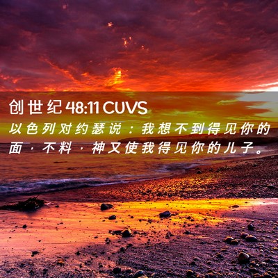 Picture 02 - 创 世 纪 48:11 CUVS - 以 色 列 对 约 瑟 说 ： 我 想 不 到 - Bible Verse Picture