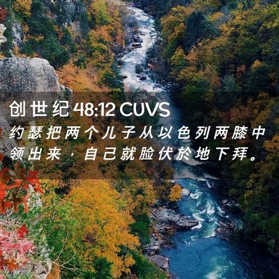 Picture 02 - 创 世 纪 48:12 CUVS - 约 瑟 把 两 个 儿 子 从 以 色 列 两 - Bible Verse Picture