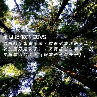 Picture 02 - 创 世 纪 48:14 CUVS - 以 色 列 伸 出 右 手 来 ， 按 在 以 - Bible Verse Picture