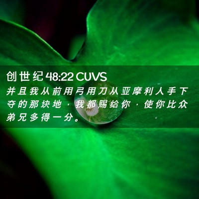 Picture 02 - 创 世 纪 48:22 CUVS - 并 且 我 从 前 用 弓 用 刀 从 亚 摩 - Bible Verse Picture