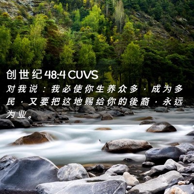 Picture 02 - 创 世 纪 48:4 CUVS - 对 我 说 ： 我 必 使 你 生 养 众 多 - Bible Verse Picture
