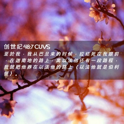 Picture 02 - 创 世 纪 48:7 CUVS - 至 於 我 ， 我 从 巴 旦 来 的 时 候 - Bible Verse Picture