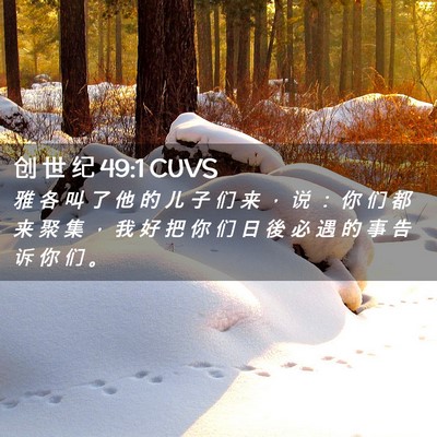 Picture 02 - 创 世 纪 49:1 CUVS - 雅 各 叫 了 他 的 儿 子 们 来 ， 说 - Bible Verse Picture