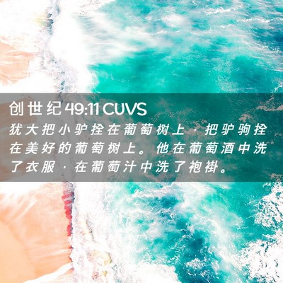 Picture 02 - 创 世 纪 49:11 CUVS - 犹 大 把 小 驴 拴 在 葡 萄 树 上 ， - Bible Verse Picture