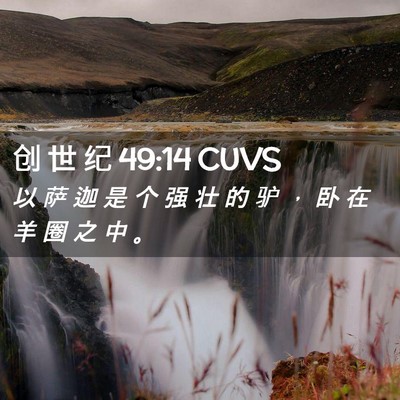 Picture 02 - 创 世 纪 49:14 CUVS - 以 萨 迦 是 个 强 壮 的 驴 ， 卧 在 - Bible Verse Picture