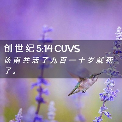 Picture 02 - 创 世 纪 5:14 CUVS - 该 南 共 活 了 九 百 一 十 岁 就 死 - Bible Verse Picture
