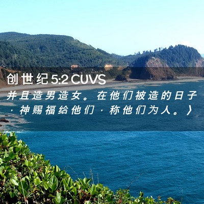 Picture 02 - 创 世 纪 5:2 CUVS - 并 且 造 男 造 女 。 在 他 们 被 造 - Bible Verse Picture