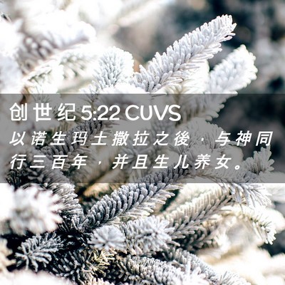 Picture 02 - 创 世 纪 5:22 CUVS - 以 诺 生 玛 土 撒 拉 之 後 ， 与 神 - Bible Verse Picture