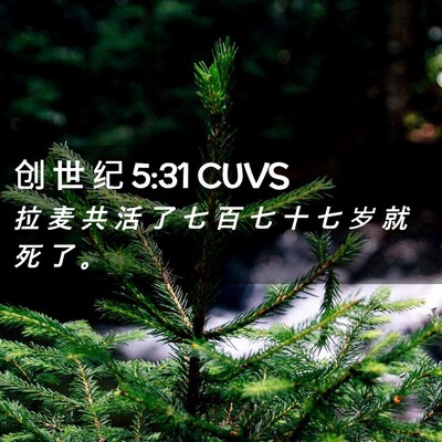 Picture 02 - 创 世 纪 5:31 CUVS - 拉 麦 共 活 了 七 百 七 十 七 岁 就 - Bible Verse Picture