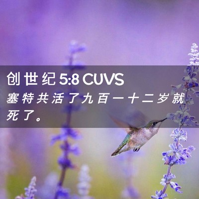 Picture 02 - 创 世 纪 5:8 CUVS - 塞 特 共 活 了 九 百 一 十 二 岁 就 - Bible Verse Picture