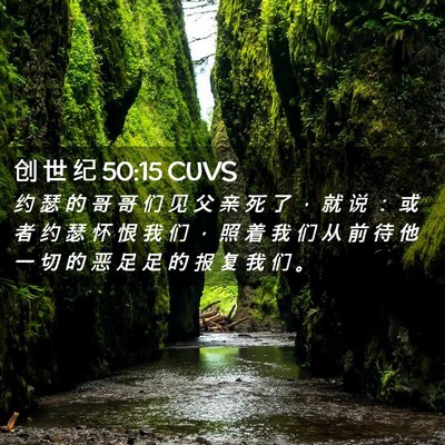 Picture 02 - 创 世 纪 50:15 CUVS - 约 瑟 的 哥 哥 们 见 父 亲 死 了 ， - Bible Verse Picture