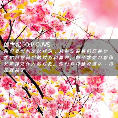 Picture 02 - 创 世 纪 50:17 CUVS - 你 们 要 对 约 瑟 这 样 说 ： 从 前 - Bible Verse Picture