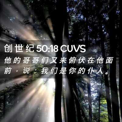 Picture 02 - 创 世 纪 50:18 CUVS - 他 的 哥 哥 们 又 来 俯 伏 在 他 面 - Bible Verse Picture