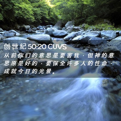 Picture 02 - 创 世 纪 50:20 CUVS - 从 前 你 们 的 意 思 是 要 害 我 ， - Bible Verse Picture