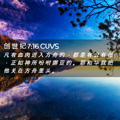 Picture 02 - 创 世 纪 7:16 CUVS - 凡 有 血 肉 进 入 方 舟 的 ， 都 是 - Bible Verse Picture