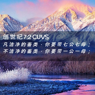 Picture 02 - 创 世 纪 7:2 CUVS - 凡 洁 净 的 畜 类 ， 你 要 带 七 公 - Bible Verse Picture