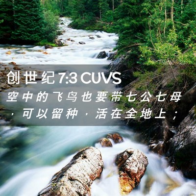 Picture 02 - 创 世 纪 7:3 CUVS - 空 中 的 飞 鸟 也 要 带 七 公 七 母 - Bible Verse Picture
